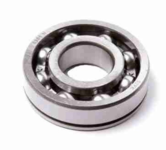   6206 NR (150206 SKF)