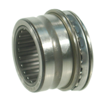   NKX30 ( INA)